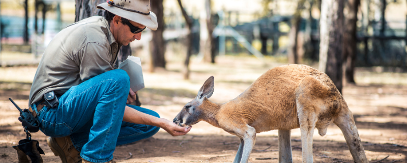 Soigneur animalier